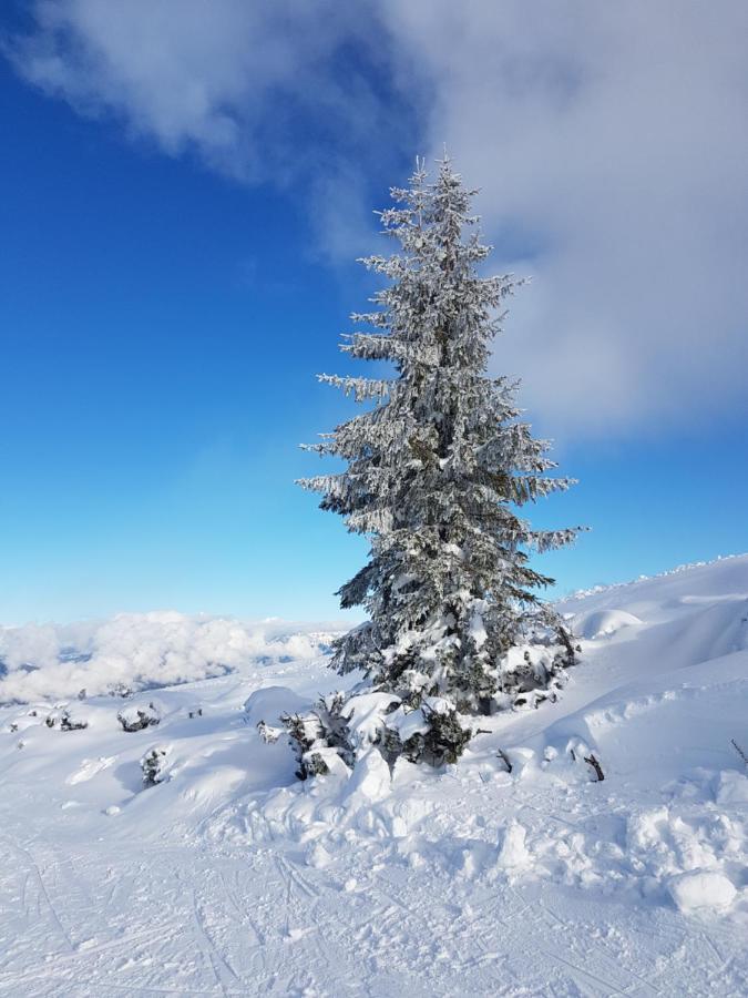 Flachauer Bergkristall Esterno foto